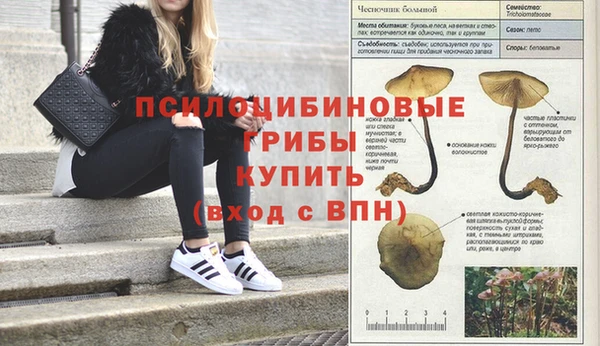 шишки Карталы