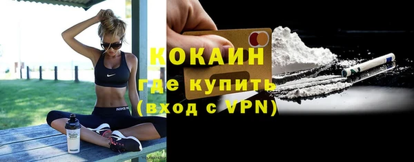 сатива Инта