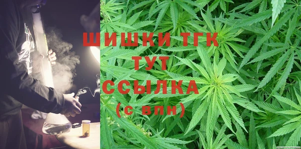сатива Инта