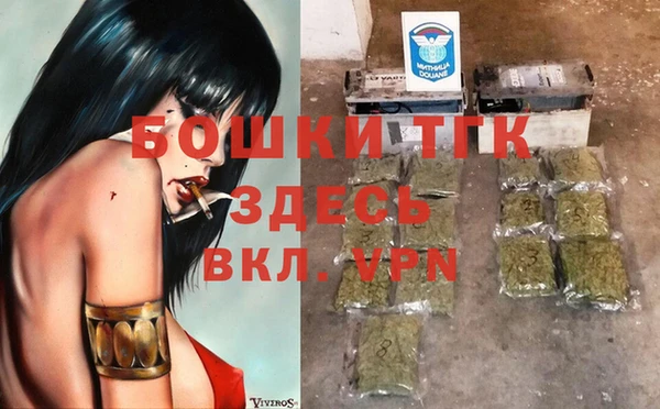 прущая мука Инсар