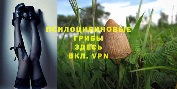 сатива Инта