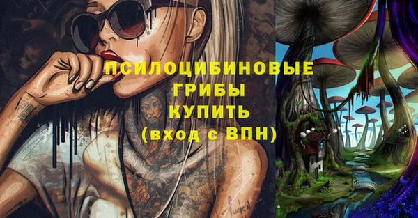 сатива Инта
