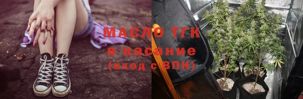 сатива Инта