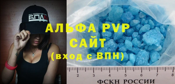 сатива Инта