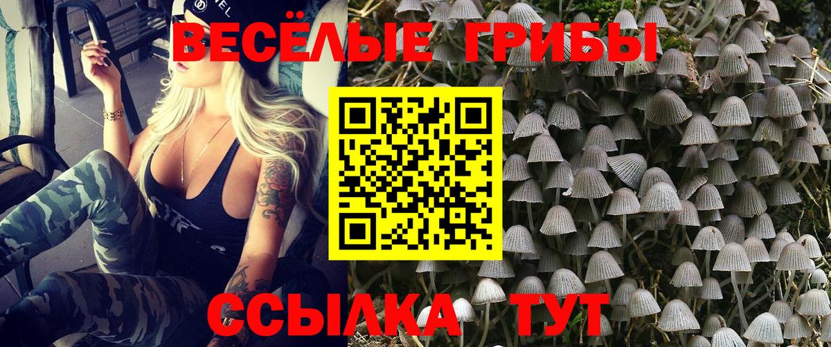 Галлюциногенные грибы MAGIC MUSHROOMS Реж