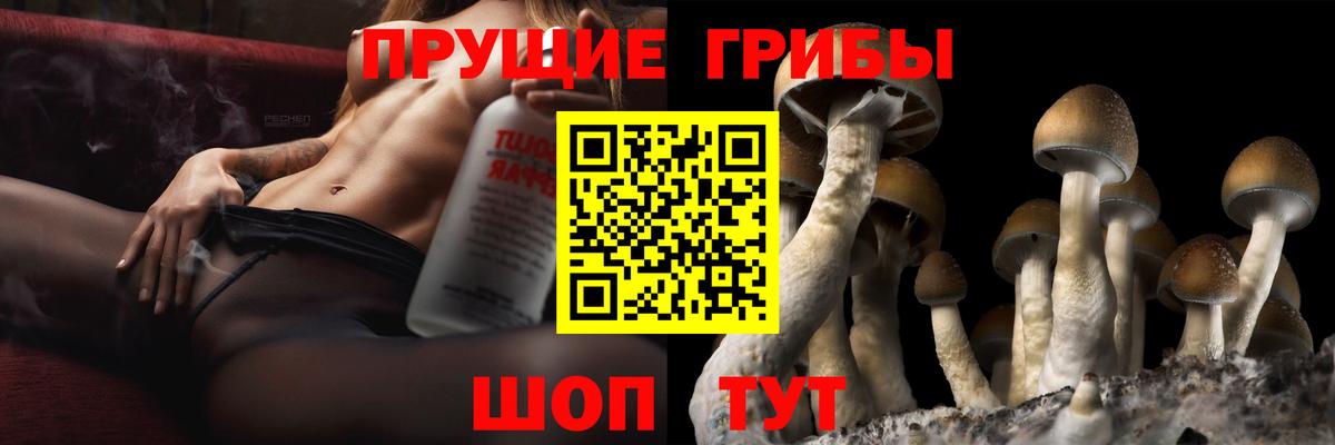 Реж  Псилоцибиновые грибы прущие грибы  цены наркотик  Вход с VPN 